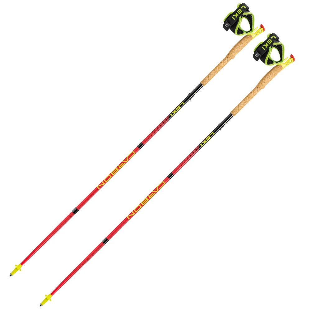 BASTONS